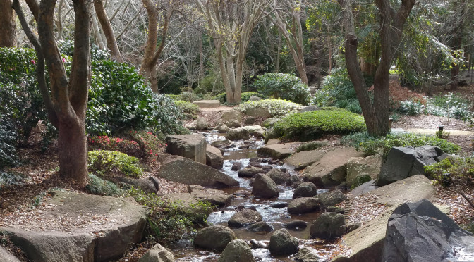 Japanese Gardens, Toowoomba